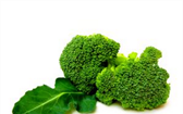 Brokolice snese i menší mrazy
