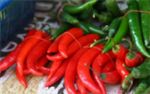Chilli papričky můžete pěstovat i doma