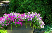 Samozavlažovací květináče na zahradu 