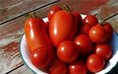 Rajčata jsou nejpěstovanější zeleninový druh