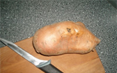 Jak pěstovat sladké brambory